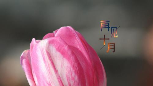 nba球星励志名言图片中文