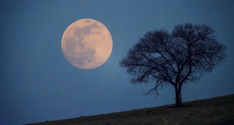 关于月亮的精美古诗词、有关月亮的短句